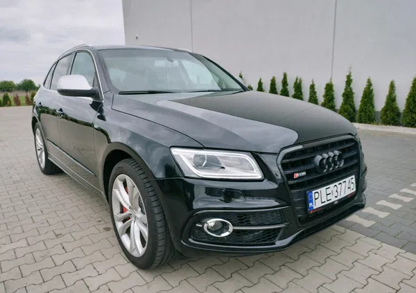 wielkopolskie Audi SQ5 cena 92500 przebieg: 192000, rok produkcji 2014 z Drzewica